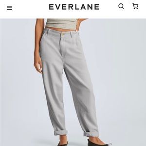Everlane relaxed chino pant in ice